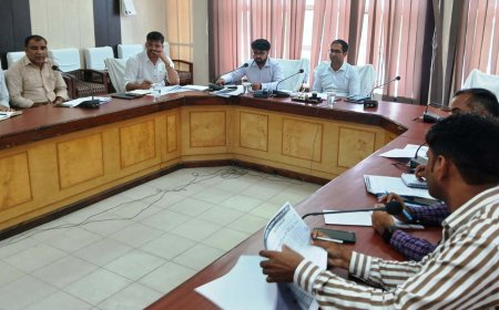 जिला कलक्टर ने की ग्रामीण विकास व पंचायती राज योजनाओं में अर्जित प्रगति की समीक्षा