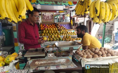 फल एवं सब्जियों के नमूनीकरण के विशेष अभियान में  दो  प्रतिष्ठानों पर निरीक्षण एवं नमूनीकरण की कार्रवाई