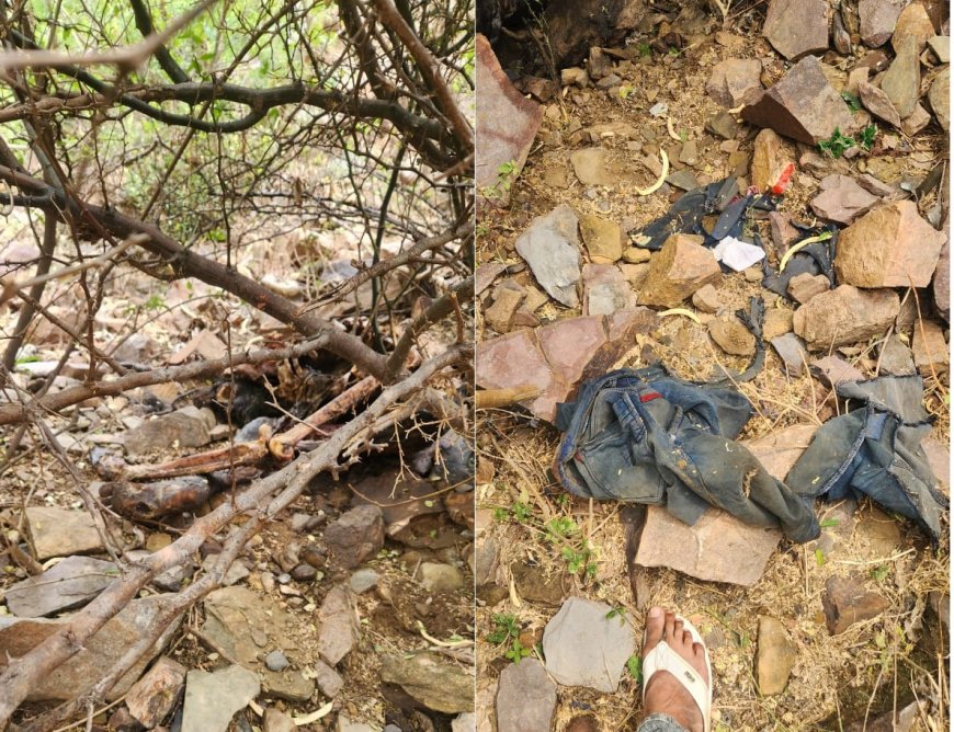 पिपरोली गांव के समीप पहाड़ पर मिला अज्ञात व्यक्ति का नर कंकाल