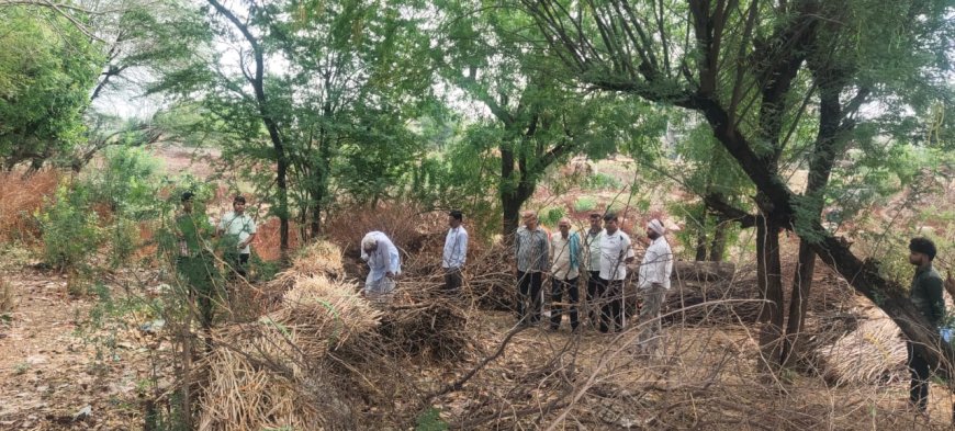 रैणी नाथ समाज के मरघट गैर मुमकिन भूमि के अस्थाई अतिक्रमण को देखने के लिए पहुंचे तहसीलदार