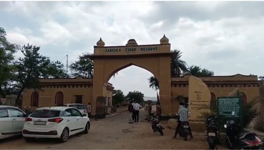 सरिस्का अभयारण्य क्षेत्र में पांडुपोल हनुमानजी मंदिर पर दुपहिया वाहनों का प्रवेश बंद रोडवेज बस सेवा शुरू