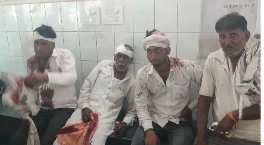 मालाखेड़ा थाना क्षेत्र के मिर्जापुर गांव में मकान के मामूली विवाद में खूनी संघर्ष: आठ लोग गंभीर रूप से घायल