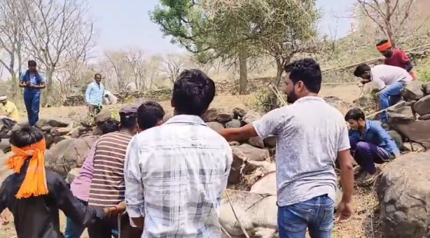 गौवंश को कुल्हाड़ी मार कर किया गंभीर रूप से घायल