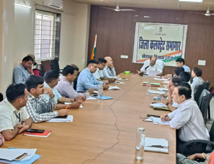जिला कलक्टर ने की भीषण गर्मी के बीच जीव मात्र के हितार्थ कदम उठाने की अपील ,जिला स्तरीय बीमा समिति की बैठक का हुआ आयोजन
