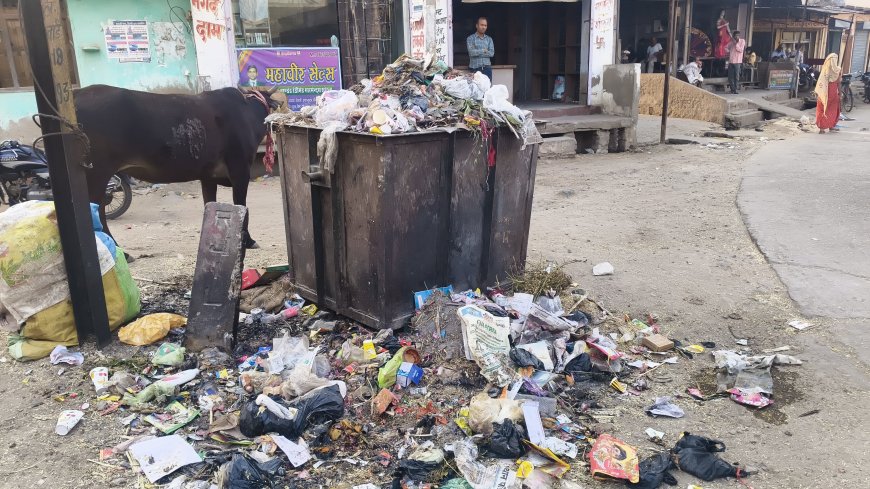 कस्बे में पानी निकासी के लिए बनाए गए नाले हुए अव्यवस्था का शिकार