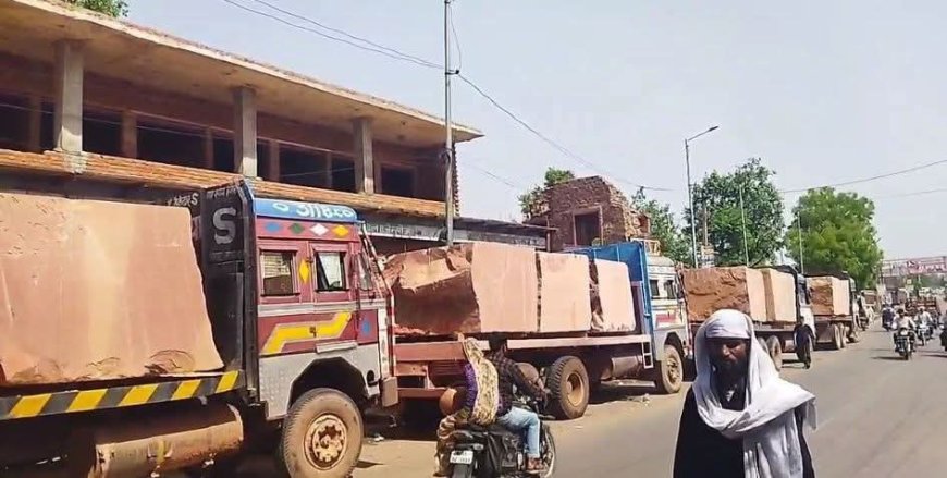 अवैध_खनन_परिवहन : वन विभाग की टीम की कार्यवाही, सैंड स्टोन से भरे 4 ट्रकों को जब्त