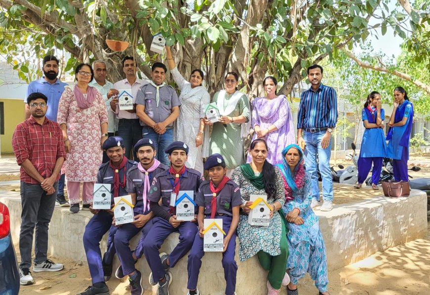 गण्डाला स्कूल में पक्षियों के लिए लगाए परिंडे और घोंसला