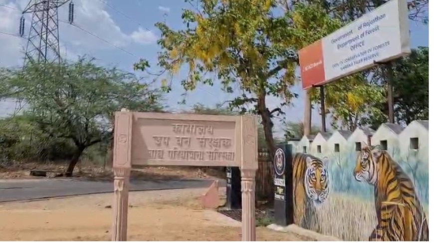 सरिस्का में नए सफारी रूट बनाए जाएंगे बाघों की साइटिंग होगी आसानी से