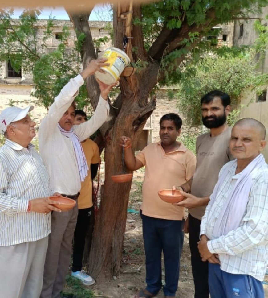 जिला कलेक्टर किशोर कुमार की अपील पर, विप्र कल्याण समिति ने पेंड़ो पर परिण्डें बांधने की शुरूआत की
