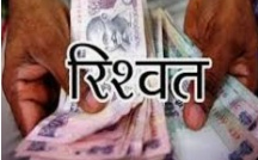पहाड़ी मे पटवारी 30 हजार की रिश्वत लेते ट्रैप:जमीन पैमाइश की एवज में धौलपुर ACB ने किया ट्रैप