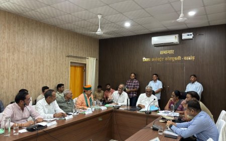 जिला विकास समन्वय एवं निगरानी समिति (दिशा) की बैठक