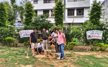लायंस क्लब खैरथल मंडी व लघु उद्योग भारती खैरथल में किया वृक्षारोपण