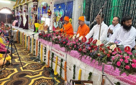 पल्लव व प्रसादी वितरण के साथ हुआ स्वामी जीवन मुक्ति के बरसी उत्सव का समापन