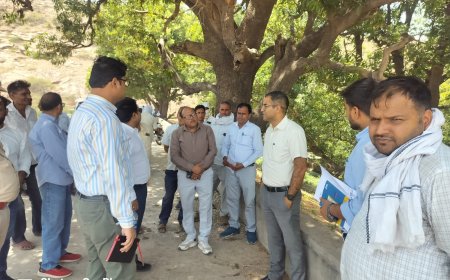 जिला कलक्टर ने किया ग्रामीण क्षेत्रों में विकास कार्यों का निरीक्षण