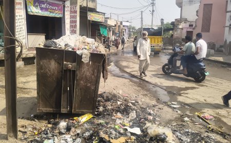 सफाई कर्मियों की हड़ताल, लोग हुए  परेशान