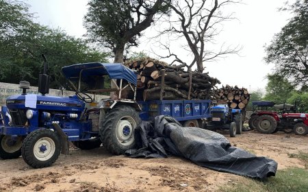अवैध रूप से हरी लकड़ी से भरे 2 ट्रैक्टर जप्त
