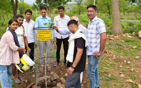 पौधारोपण कर पर्यावरण बचाने का दिया संदेश, धामेडा़ धाम में फैली हरियाली की चादर