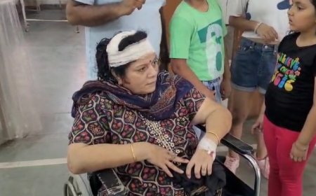 दिल्ली-मुंबई एक्सप्रेसवे पर कुत्ते को बचाने के चक्कर में अनियंत्रित कार पलटी