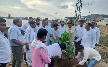 ऊर्जा राज्यमंत्री ने बानसूर के भूपसेडा स्थित सोलर संयंत्रों का किया अवलोकन