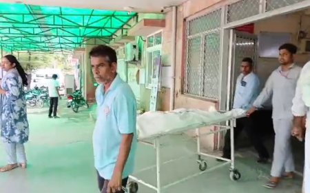 अलवर : - सागर शहर में बंदर से बचने के चक्कर में डूबा बच्चा, मौत