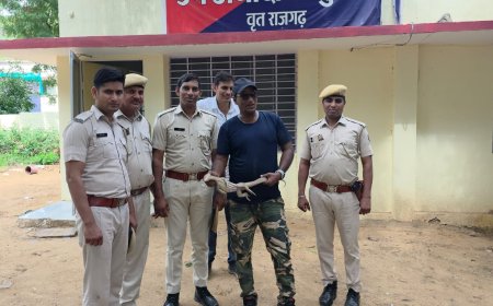 पुलिस उपाधीक्षक के कार्यालय में घुसा गोहरा मची अफरातफरी