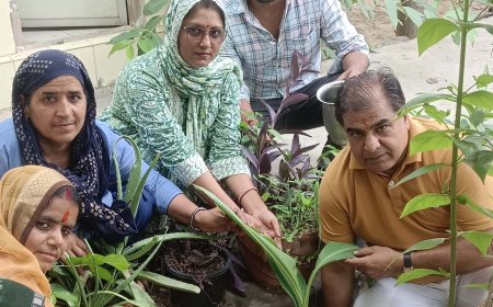 आयुष्मान आरोग्य मंदिर में जन्मदिन पर किया पौधारोपण