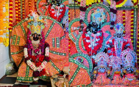 भगवान जगन्नाथ गर्भ गृह से बाहर आकर दिए भक्तों को दर्शन