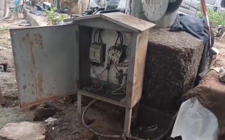 अलवर : हाई मास्ट पोल से बिजली चोरी का खुलासा,अवैध तारों के जरिए बिजली सप्लाई