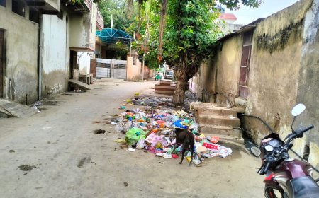 सफाई पर हर माह 33 लाख खर्च, 180 कर्मी फिर भी रविवार को सफाई नहीं