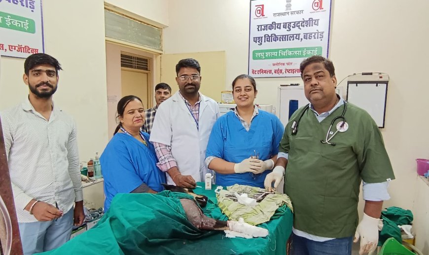 गायत्री शक्तिपीठ पर पांच कुण्डीय यज्ञ के उपरांत नए ट्रस्ट मंडल का शपथग्रहण समारोह होगा आयोजित