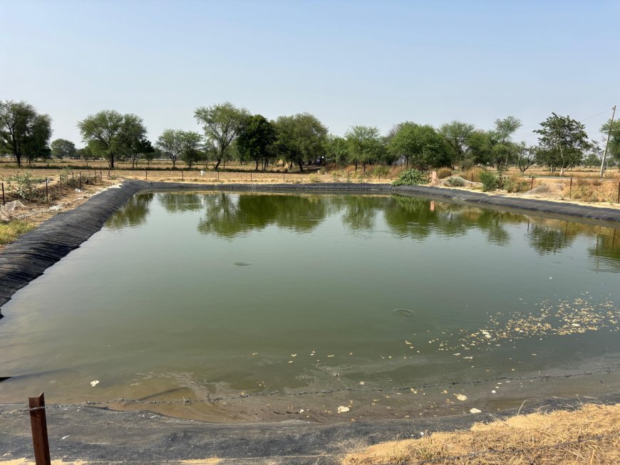 पीएम कृषि सिंचाई योजना एवं एमजेएसए से साकार हो रही है जल संरक्षण की परम्परा,फॉर्म पॉण्ड योजना से किसानों को वर्षभर पानी मिलने से दुगुनी हुई है आमदनी