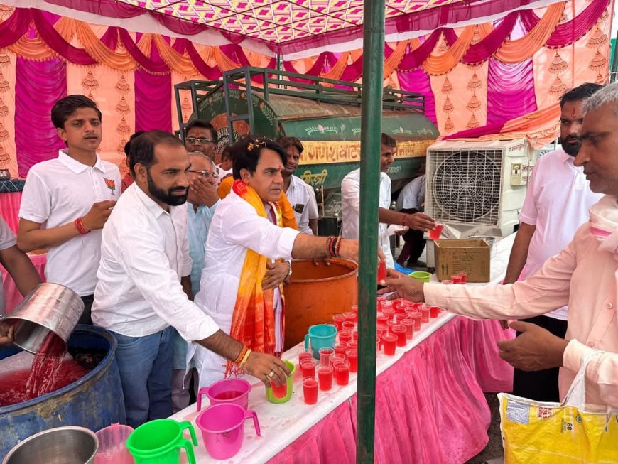 महवा में निर्जला एकादशी पर हुए अनेक आयोजन,विधायक राजेंद्र मीणा ने कई ठंडी प्याऊओं का किया शुभारंभ