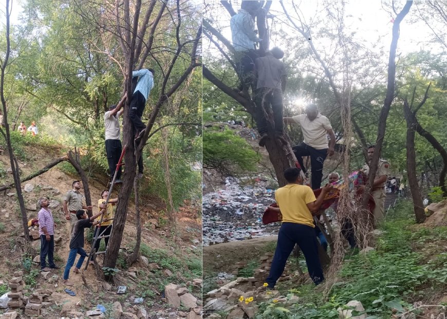 बाबा मोहनराम काली खोली धाम के पास पेड़ से लटका मिला युवक का शव