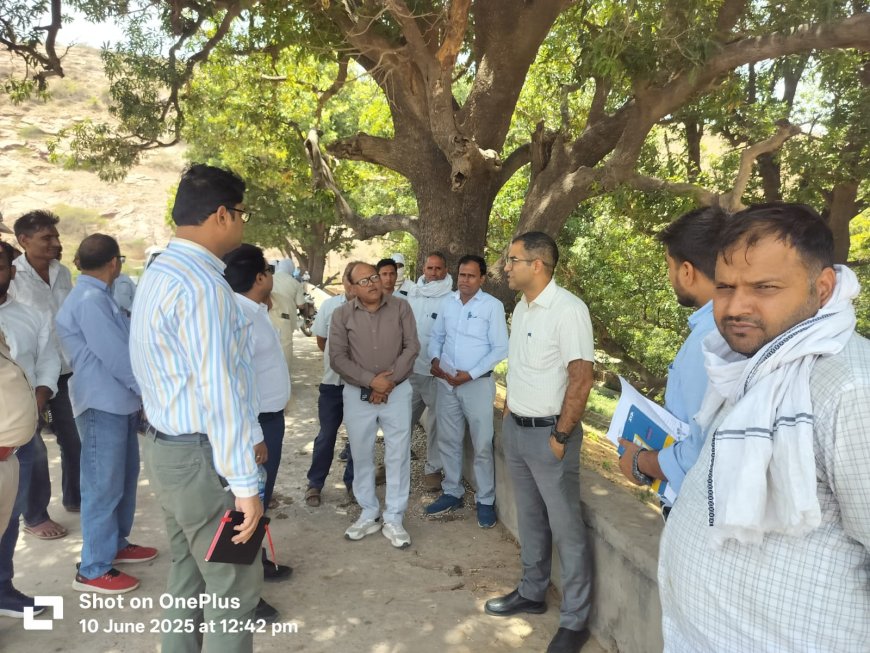 जिला कलक्टर ने किया ग्रामीण क्षेत्रों में विकास कार्यों का निरीक्षण
