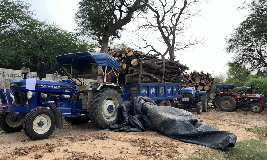 अवैध रूप से हरी लकड़ी से भरे 2 ट्रैक्टर जप्त