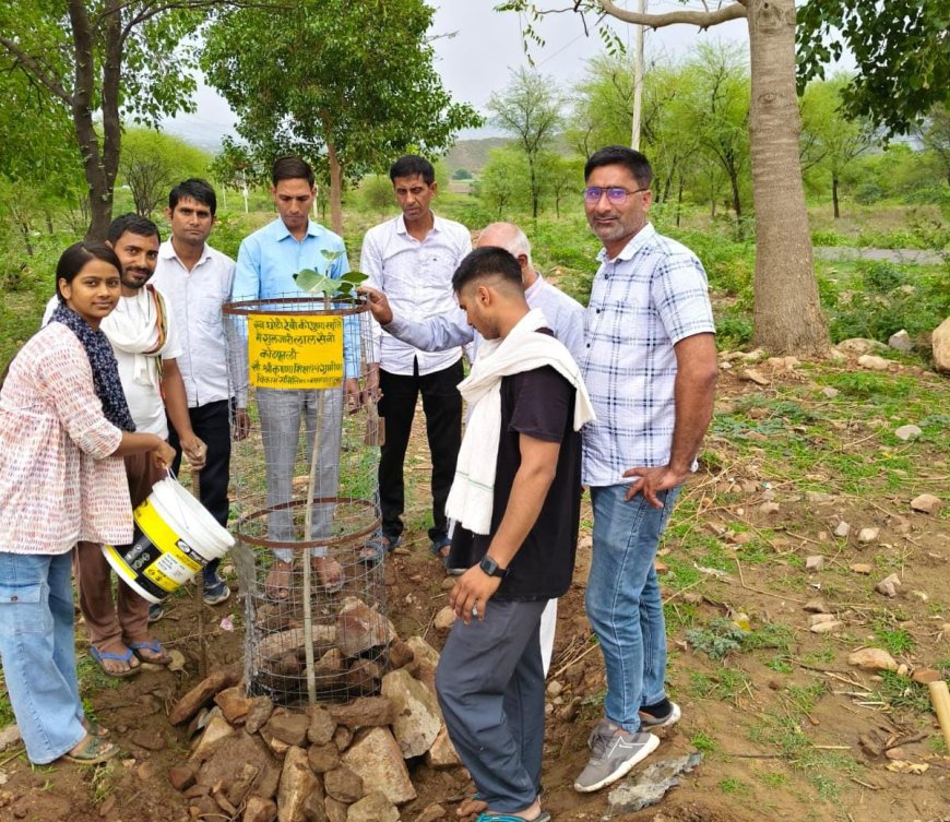 पौधारोपण कर पर्यावरण बचाने का दिया संदेश, धामेडा़ धाम में फैली हरियाली की चादर