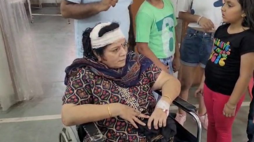 दिल्ली-मुंबई एक्सप्रेसवे पर कुत्ते को बचाने के चक्कर में अनियंत्रित कार पलटी