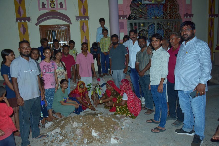पार्षद अनराज मेवाडा ने वार्ड 16 में हरियालो राजस्थान महाअभियान का किया आगाज,वृक्ष धरती का होते है श्रृंगार