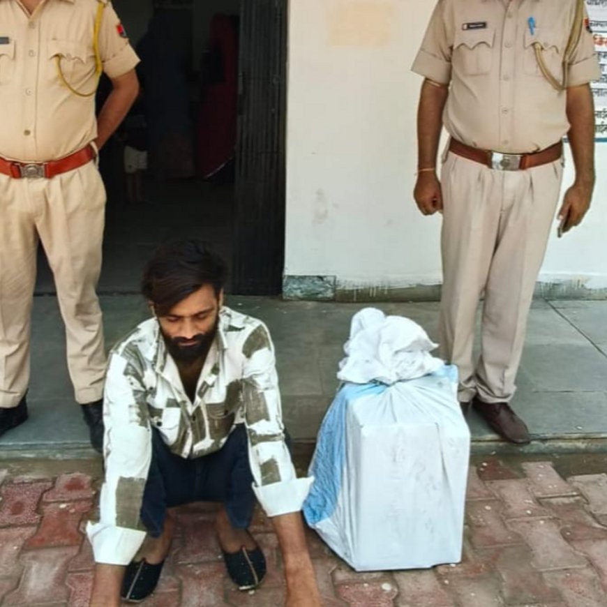 आहोर में चोरी करने का आरोपी गिरफ्तार:चोरी का सामान कम्प्युटर सेट, हार्ड डिस्क, पैन ड्राईव भी बरामद