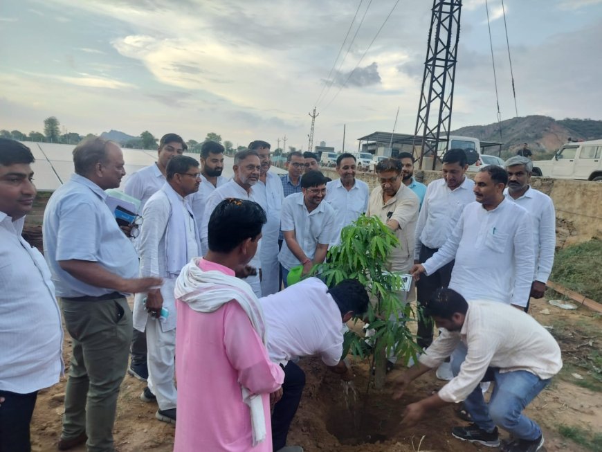 ऊर्जा राज्यमंत्री ने बानसूर के भूपसेडा स्थित सोलर संयंत्रों का किया अवलोकन