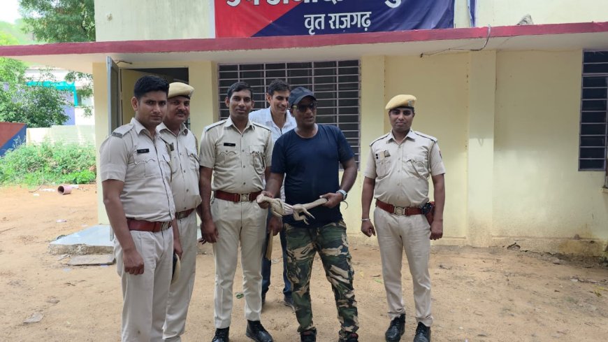 पुलिस उपाधीक्षक के कार्यालय में घुसा गोहरा मची अफरातफरी