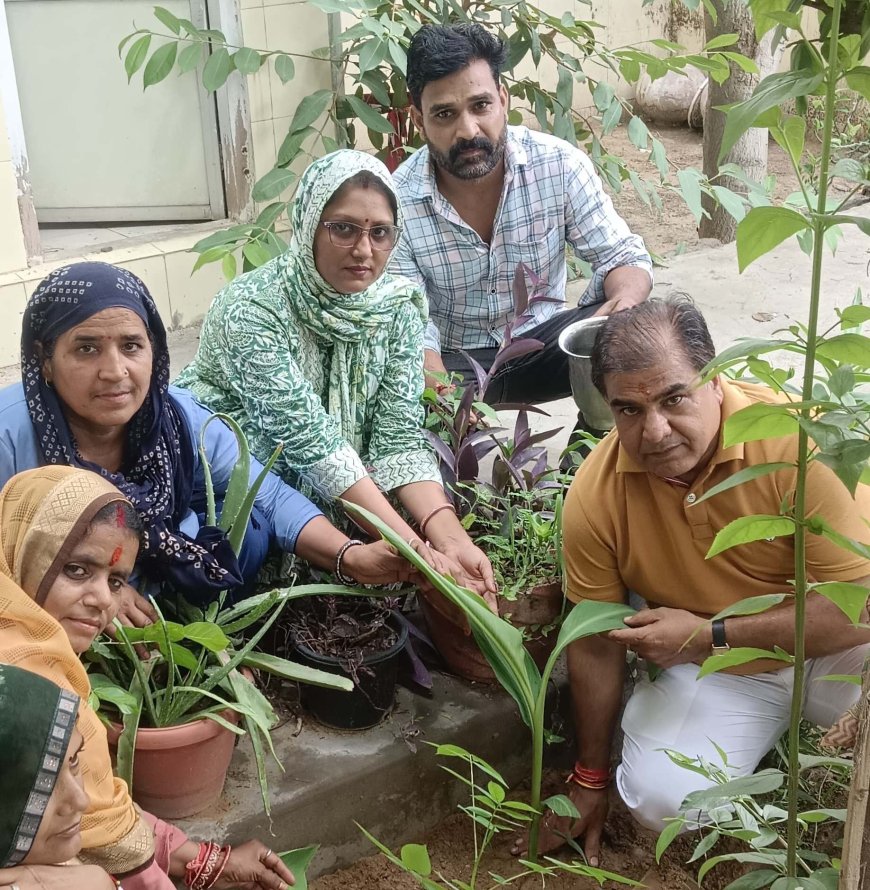 आयुष्मान आरोग्य मंदिर में जन्मदिन पर किया पौधारोपण