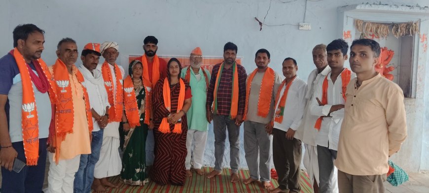 डॉ श्यामा प्रसाद मुखर्जी के बलिदान दिवस पखवाड़ा के तहत संगोष्ठी बैठक आयोजित