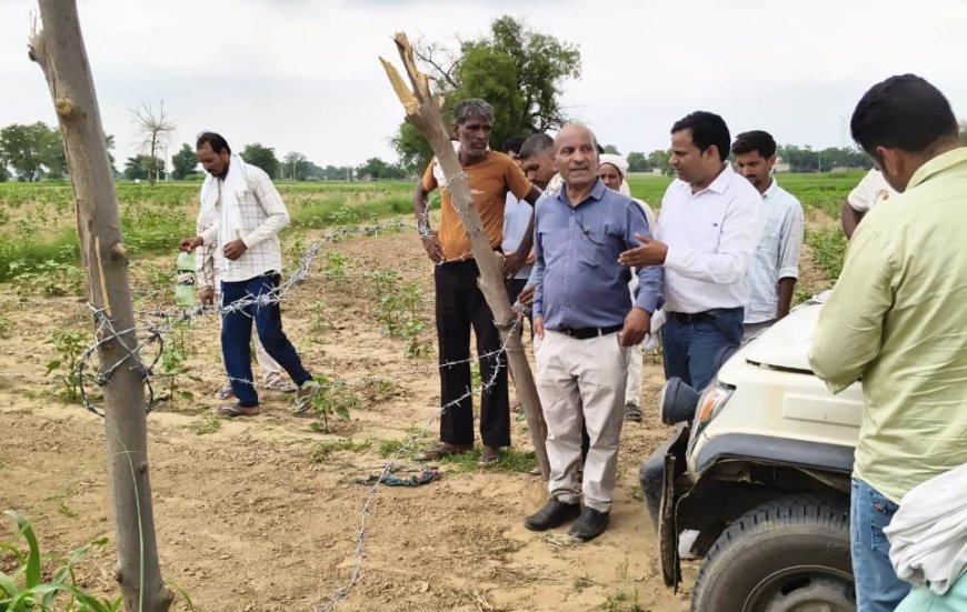 माछरोली पंचायत के गांव गूगलहेडी में 100 लोगों को मिला रास्ता, मौके पर ही प्रकरण तैयार कर मिली राहत
