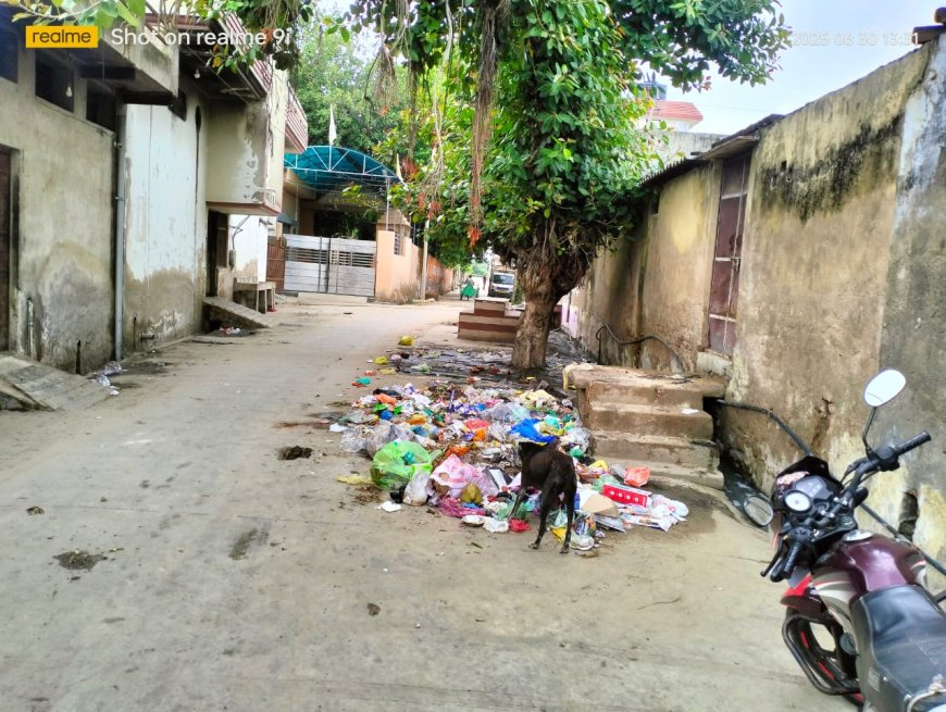 सफाई पर हर माह 33 लाख खर्च, 180 कर्मी फिर भी रविवार को सफाई नहीं