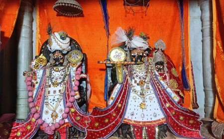 उपनगर पुर में दशम सेवा समिति की बैठक रोगमुक्तेश्वर महादेव मंदिर परिसर में आयोजित