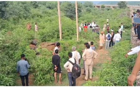 भैंसों की  बिजली करंट से मौत: विद्युत विभाग के खिलाफ सड़क पर लगाया जाम,  मुआवजे की मांग