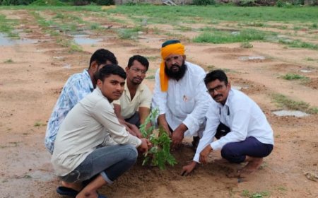 जालोर मिया मोटनशाह दरगाह मैदान में लगाए 50 पौधे 