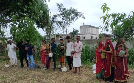 पेड़ों का दें उपहार, प्रकृति खुश होगी - राम भरोस मीणा