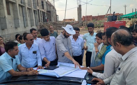 जिला कलक्टर ने शहर में चल रहे विकास कार्यों का किया निरीक्षण